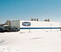 Евгений Романов о Компании Danone