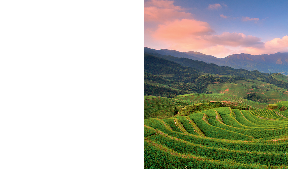 Ответственность